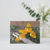 Vroege lentbloemen briefkaart (Staand voorkant)