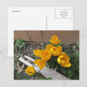 Vroege lentbloemen briefkaart (Voorkant / Achterkant)