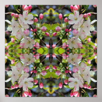 Vroege lente appelbloesems Abstract