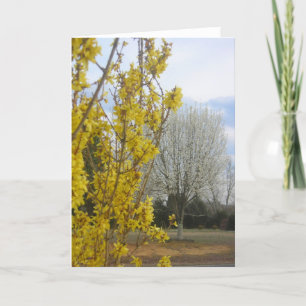 Vroege lente - Wenskaart Kaart