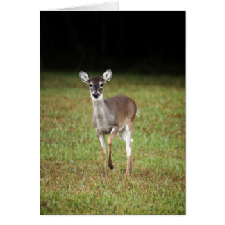 Vroege ochtendherten