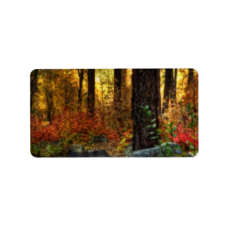 vroege ochtendwandeling etiket