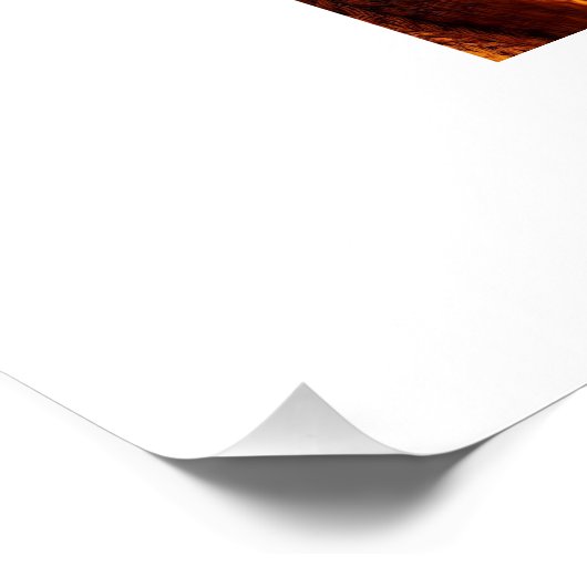 Vroege pelgrim moeder kat en haar kitten perfect poster (Hoek)