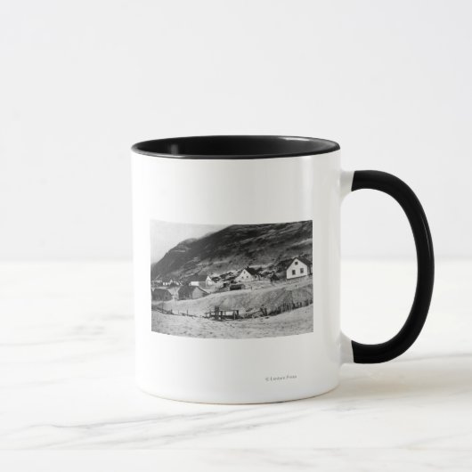 Vroege scène van Kodiak, Alaska-foto Mok (Rechts)