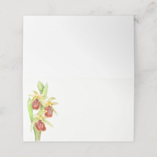 Vroege spin orchidee waterverf gast plaats kaarten (Buitenkant ongevouwen)