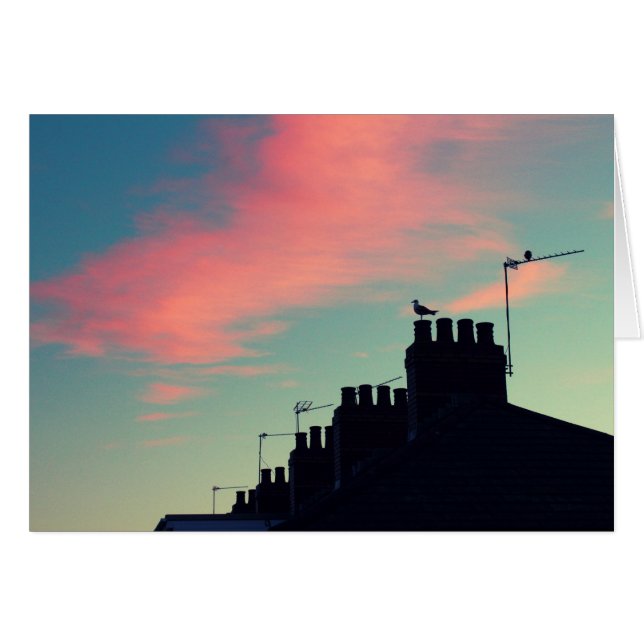 Vroege vogels (Voorkant Horizontaal)