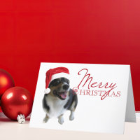 Vroeger kersttricolor Corgi Santa Photo