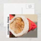 Vrolijk kerstcadeat feestdagenkaart (Voorkant / Achterkant)