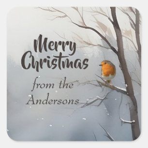 Vrolijk kerstcadeau van de naam Robin Winter Vierkante Sticker