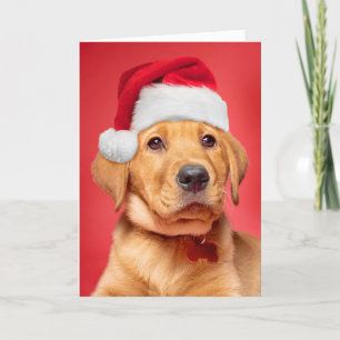 Vrolijk kerstcadeautje Labrador Puppy in Santa Hat Feestdagen Kaart