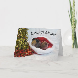 Vrolijk kerstcavia Kaart