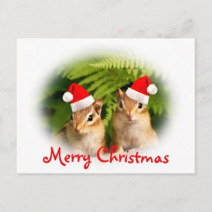 Vrolijk Kerstfeest Baby Chipmunks Briefkaart