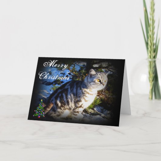 Vrolijk kerstfeest - Cat wenskaart Feestdagen Kaart (Voorkant)