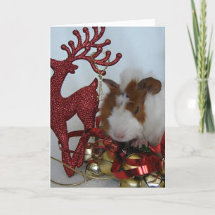 vrolijk kerstfeest! Cavia met rendieren Feestdagen Kaart