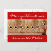 Vrolijk kerstfeest Chickadees Briefkaart (Voorkant / Achterkant)