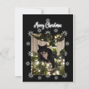 Vrolijk kerstfeest. Een tuxie kat op kerstboom. Notitiekaartje