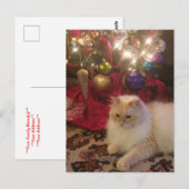 Vrolijk kerstfeest en gelukkig nieuwjaar briefkaart (Voorkant / Achterkant)