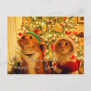 vrolijk kerstfeest en gelukkig nieuwjaar feestdagenkaart