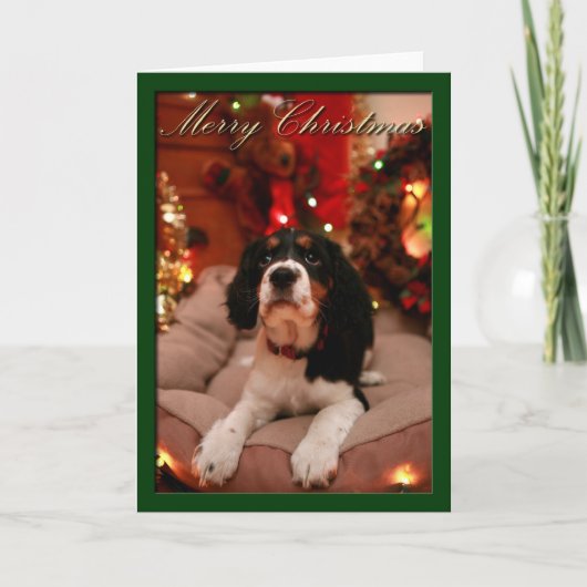 Vrolijk Kerstfeest Engelse Springer Spaniel, Sprin Feestdagen Kaart (Voorkant)