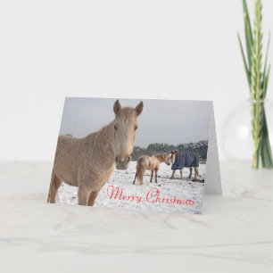 Vrolijk kerstfeest feestdagen kaart