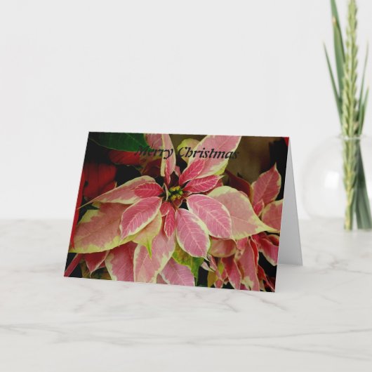 Vrolijk kerstfeest feestdagen kaart (Voorkant)