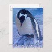 Vrolijk kerstfeest feestdagenkaart (Voorkant / Achterkant)