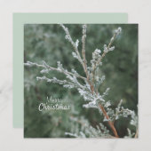 Vrolijk kerstfeest Frosty Evergreen Branch Feestdagenkaart (Voorkant / Achterkant)
