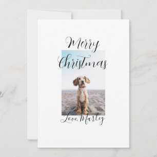 Vrolijk Kerstfeest hond kat foto vakantie cadeaus  Kaart