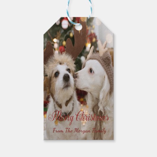 Vrolijk kerstfeest, honden in liefde cadeaulabel (Voorkant)