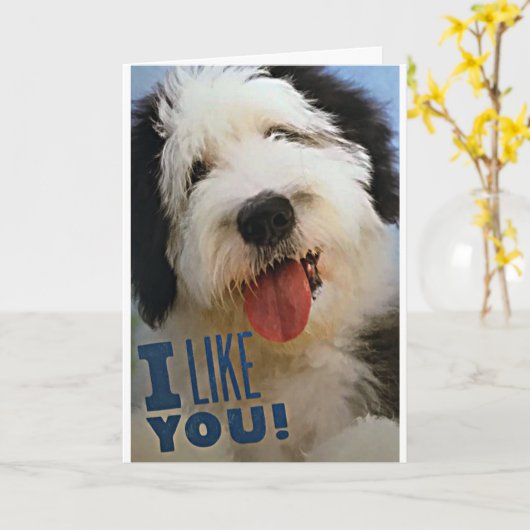 ***VROLIJK KERSTFEEST***** IK HOU VAN JE*** & **IK KAART (Gele Bloem)