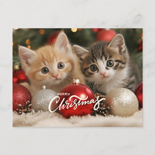 Vrolijk kerstfeest Kittens en Ornamenten Feestdagenkaart (Voorkant)