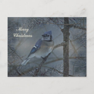 Vrolijk kerstfeest - Oosterse Blauwe Jay Feestdagenkaart