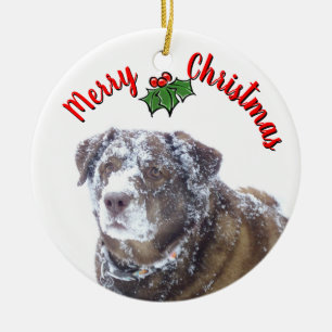 Vrolijk kerstfeest personaliseren huisdier foto sj keramisch ornament