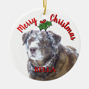 Vrolijk kerstfeest personaliseren huisdier foto sj keramisch ornament