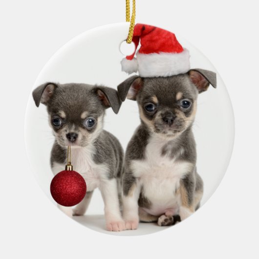 Vrolijk kerstfeest Puppies Keramisch Ornament (Voorkant)