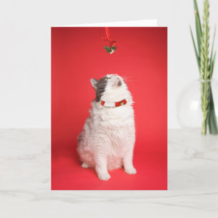 Vrolijk kerstfeest Schattige Kat onder Mistletoe Feestdagen Kaart