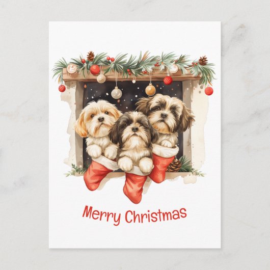 Vrolijk Kerstfeest Shih Tzu Honden Briefkaart (Voorkant)