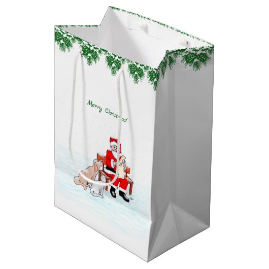 Vrolijk kerstfeest! Sinterklaas met kat en hond Medium Cadeauzakje (Voorkant Gekanteld)