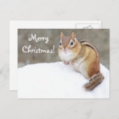 Vrolijk kerstfeest Snowy Chipmunk Feestdagenkaart (Voorkant / Achterkant)
