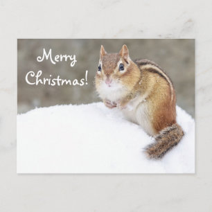 Vrolijk kerstfeest Snowy Chipmunk Feestdagenkaart