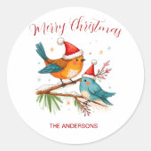 Vrolijk kerstfeest twee liefdevolle vogels ronde sticker (Voorkant)