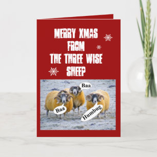 Vrolijk kerstfeest van de drie wijze schapen feestdagen kaart