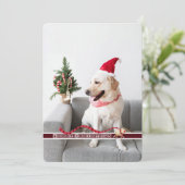 Vrolijk kerstfeest van de hond feestdagenkaart (Staand voorkant)