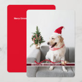 Vrolijk kerstfeest van de hond feestdagenkaart (Voorkant / Achterkant)