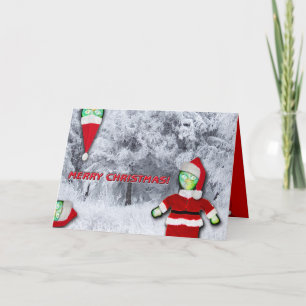 Vrolijk kerstfeest van de LiEnS! Feestdagen Kaart