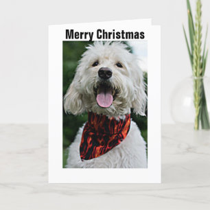 VROLIJK KERSTFEEST VAN DRESSED UP/HAPPY DOG FEESTDAGEN KAART