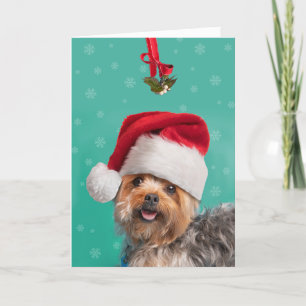 Vrolijk kerstfeest voor iedereen Cute Yorkie Dog Feestdagen Kaart