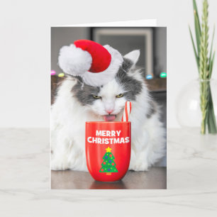 Vrolijk kerstfeest voor iedereen die warme cacao D Feestdagen Kaart