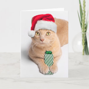 Vrolijk kerstfeest voor iedereen Oranje Tabby Cat Feestdagen Kaart