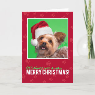 Vrolijk kerstfeest voor iedereen Schattige Yorkie Feestdagen Kaart